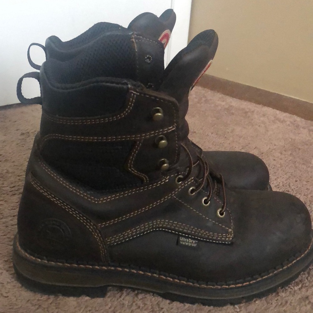 Irish Setter Ramsey’s